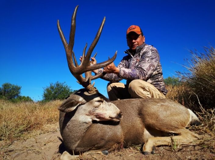 MULE DEER 31 Sonora Desert Outfitters